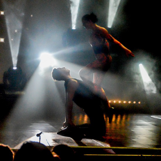 Theatre Shows and Dance Festivals